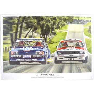 Bathurst 1981 Mountain Rivals Tin Sign