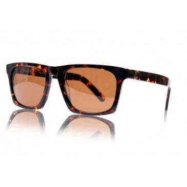 Royal Aquamarine Vanderbilt Dark Tortoise Sunglasses