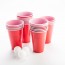 Beer Pong Set
