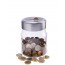 Coin Counting Money Box