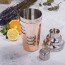 Copper Recipe Cocktail Shaker