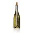 Corkcicle Wine Chiller