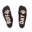Feet Speak Pug Socks