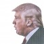 Ride with Trump Car Window Sticker