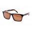 Royal Aquamarine Vanderbilt Dark Tortoise Sunglasses