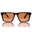 Royal Aquamarine Vanderbilt Dark Tortoise Sunglasses