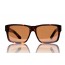 Royal Aquamarine Warhola Dark Tortoise Sunglasses